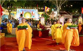 Rực sáng 7 đóa sen trên Đầm Nại mùa Vesak 2026
