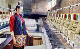 Những mô hình kinh tế hiệu quả ở Púng Bánh