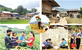 Bộ Dân tộc và Tôn giáo: Lấy ý kiến góp ý dự thảo Thông tư hướng dẫn thực hiện một số nội dung của Chương trình mục tiêu quốc gia
