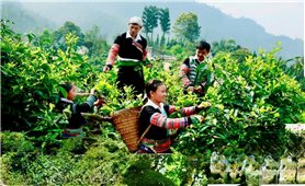 Đến Pang Cáng để chạm vào chiều sâu văn hóa Mông