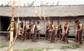 The Thanksgiving Ceremony to the Forest God and some rituals related to the life of the Ma people in the Southern Central Highlands