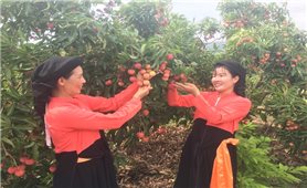 Bắc Ninh: Tập trung giải quyết dứt điểm, kịp thời những vấn đề cấp thiết, quan trọng tại vùng đồng bào dân tộc thiểu số và miền núi