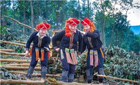 Nhìn lại kết quả thực hiện Chương trình MTQG 1719 ở Lào Cai