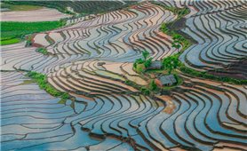 Những bức tranh tuyệt tác vào mùa nước đổ