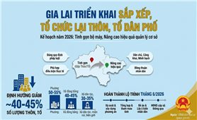 Tỉnh Gia Lai đặt mục tiêu hoàn thành sắp xếp, tổ chức lại thôn, tổ dân phố trong tháng 6