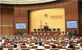 Những điểm mới, tiến bộ của Luật Tín ngưỡng, tôn giáo (sửa đổi) - Bước đột phá trong đảm bảo quyền con người và hoàn thiện thể chế pháp lý tại Việt Nam