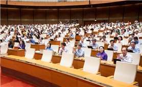 Sức sống mới từ một đạo luật hợp lòng dân