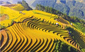 Văn học dân tộc thiểu số và hành trình giữ tiếng mẹ đẻ