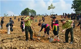 Preserving and promoting the traditional cultural values ​​of ethnic minorities associated with protecting the environment