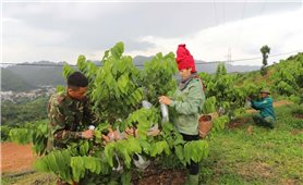 Những thành quả phát triển ấn tượng ở vùng đồng bào dân tộc thiểu số tỉnh Sơn La