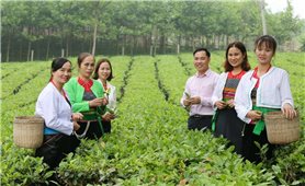 Thành phố Hà Nội thông qua chính sách về đất đai đối với đồng bào dân tộc thiểu số