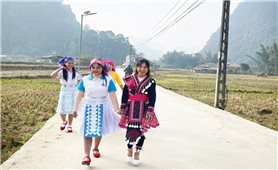 Đến 30/6/2026, Cao Bằng dự kiến giải ngân khoảng 40% kế hoạch vốn thực hiện Chương trình 1719 chuyển sang từ các năm trước