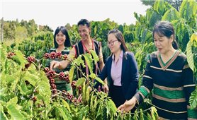 Ngăn chặn tín dụng đen để bảo vệ sinh kế vùng đồng bào dân tộc thiểu số
