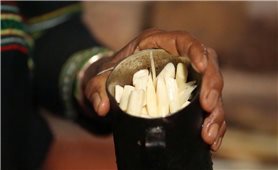 Canh thụt - Hương vị đại ngàn trong đời sống người Mnông