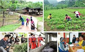 Ban hành Sổ tay hướng dẫn thực hiện Chương trình mục tiêu quốc gia