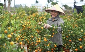 Khi tinh thần tương trợ của giáo dân được đặt lên bệ đỡ của chính sách