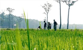 Ta Lai - where traditional cultural values are preserved and promoted