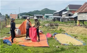 Gia Lai: Khẩn trương hoàn thiện các thủ tục, triển khai kịp thời, hiệu quả Chương trình Mục tiêu quốc gia