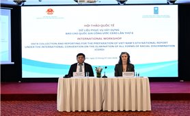 Tăng cường năng lực về dữ liệu phục vụ xây dựng Báo cáo quốc gia thực hiện Công ước CERD lần thứ sáu