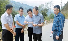 Tuyên Quang: Tập trung triển khai thực hiện hiệu quả Chương trình Mục tiêu quốc gia