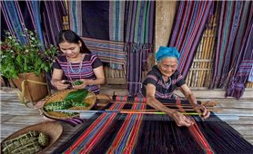 Hoa văn thổ cẩm - 