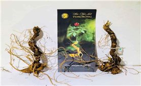 Đà Nẵng chuẩn bị tổ chức Lễ hội Sâm Ngọc Linh và Dược liệu quốc tế 2026