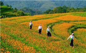 Xóm nhỏ bình yên bên thung lũng Mai Châu