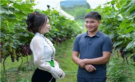 Người dân Mường Phăng làm giàu từ nho hạ đen
