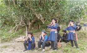 Bản hòa âm từ kèn lá