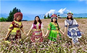 Thảo nguyên Suôi Thầu trên vùng cao Pà Vầy Sủ
