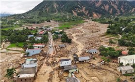 Chủ động ứng phó với tình hình thiên tai diễn biến phức tạp