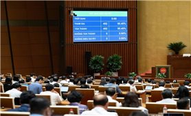 Phó Thủ tướng Chính phủ ban hành Kế hoạch triển khai thi hành Luật Tín ngưỡng, tôn giáo