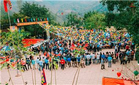 Spring trip to the the mountaintop of Pu Nha Thau