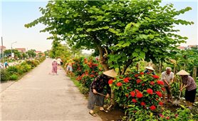 Bình yên xóm đạo Tân Tiến