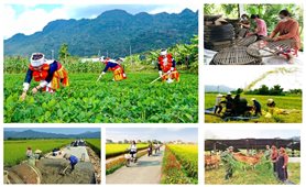 Chương trình công tác của BCĐ Trung ương thực hiện các Chương trình mục tiêu quốc gia