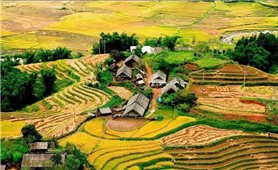Tháng 7 trên thung lũng Mường Hoa