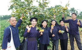 Phụ nữ dân tộc thiểu số khởi nghiệp từ bản sắc văn hóa