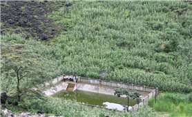 Nước sạch trên Cao nguyên đá Đồng Văn - Chuyện chưa bao giờ cũ