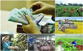 Tập trung giải ngân 17.671,75 tỷ đồng của giai đoạn 2021-2025 thực hiện 3 Chương trình MTQG được kéo dài sang năm 2026