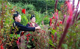 Đặc sắc Tết Mền loóng phạt ái của dân tộc Cống