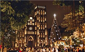 Freedom of belief and religion in Vietnam: an undeniable fact
