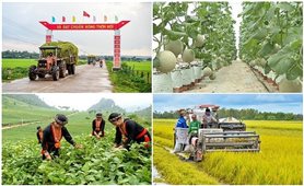 Những nhiệm vụ trọng tâm trong thực hiện Chương trình MTQG 6 tháng cuối năm 2026