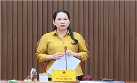 Thứ trưởng Nông Thị Hà: Quảng Ngãi cần tập trung đẩy nhanh tiến độ thực hiện các Chương trình MTQG
