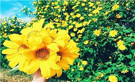Chư Đăng Ya - Ngọn núi của sắc màu và lễ hội