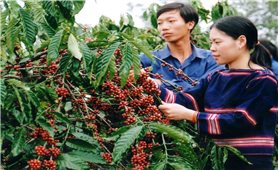 The role of poverty reduction in strengthening national unity