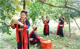 Kinh nghiệm của một số địa phương trong giải quyết nhóm mục tiêu gặp nhiều khó khăn trong Chương trình Mục tiêu quốc gia 1719