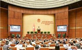 Quốc hội thảo luận về sửa đổi, bổ sung một số điều của Luật Kiến trúc