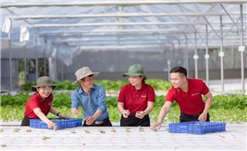 Agribank tiên phong triển khai chương trình tín dụng ưu đãi 70.000 tỷ đồng hướng đến các động lực tăng trưởng kinh tế, doanh nghiệp nhỏ và vừa