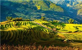 Tri thức dân gian - Kho báu trong đời sống đồng bào vùng cao
