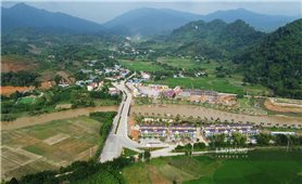 Tuyên Quang Ban hành Quyết định quy định tiêu chí nông thôn mới giai đoạn 2026 - 2030